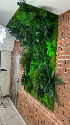 Realizacje, zielone ściany 107 Dekoracje zielone