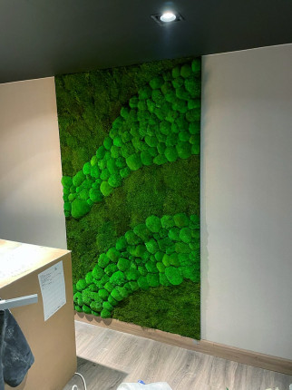 Realizacje, zielone ściany 108 Dekoracje zielone