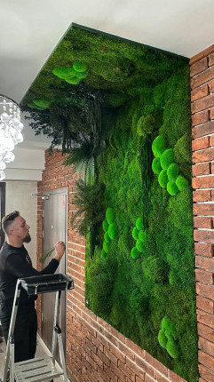 Realizacje, zielone ściany 161 Dekoracje zielone