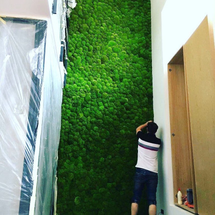 Realizacje, zielone ściany 395 Dekoracje PREMIUM