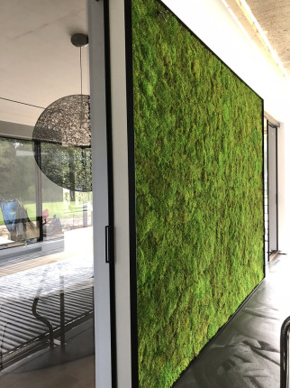 Realizacje, zielone ściany 400 Dekoracje PREMIUM