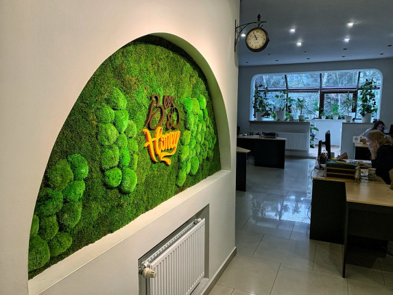 Realizacje, zielone ściany 354 Zielone dekoracje
