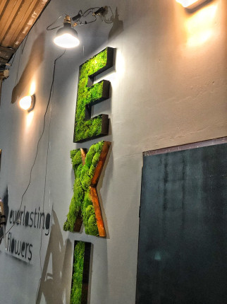 Realizacje, zielone ściany 402 Dekoracje PREMIUM
