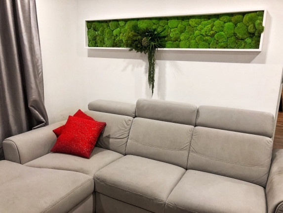 Realizacje, zielone ściany 406 Dekoracje PREMIUM