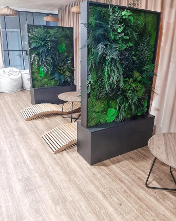 Realizacje, zielone ściany 474 Zielone dekoracje