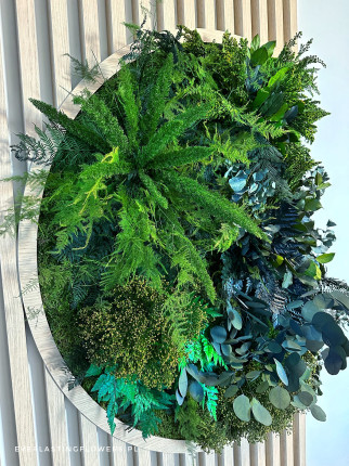 Zielone dekoracje z mchu roślin  stabilizowanych