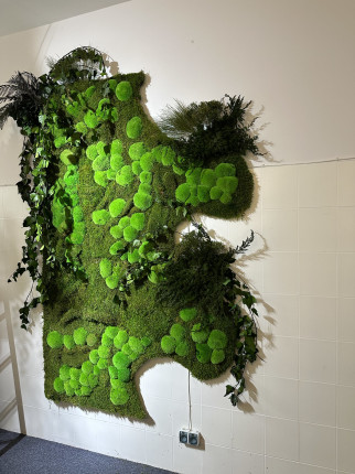 Zielone dekoracje z mchu roślin  stabilizowanych