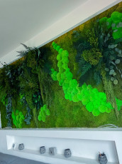 Forest na ścianie