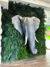 Elephant- decor