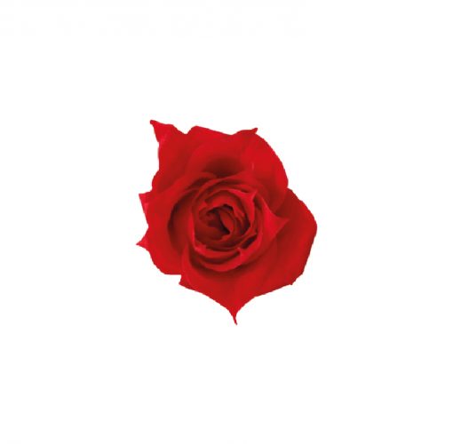 00 rosa princess menu