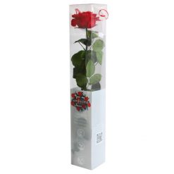 70672500 9067 4A3D 8DEC DEEE54FD6DA2