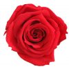 RME3200 01 rosa medium