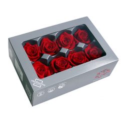 RME3200 03 rosa medium