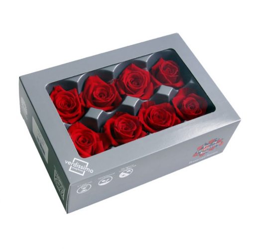 RME3200 03 rosa medium
