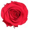 RSG2200 01 rosa premium