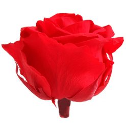 RSG2200 02 rosa premium