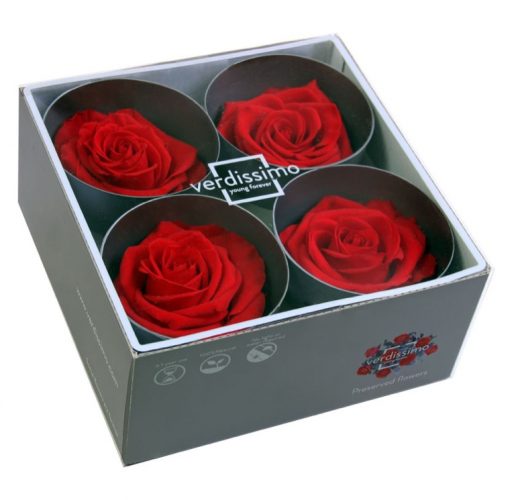 RSG2200 03 rosa premium