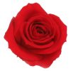 RSM0200 01 rosa mini