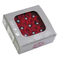 RSP4200 03 rosa princess