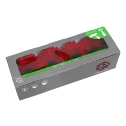 gerbera red box