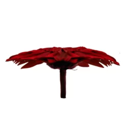 gerbera red color