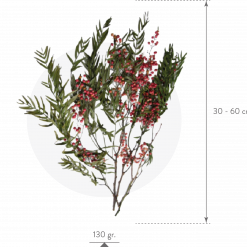 Materialy zielone galezie pepper tree 3