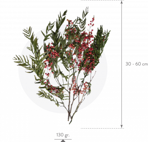 Materialy zielone galezie pepper tree 3