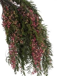 materialy galezie Pepper tree 2