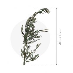 materialy galezie olive dim