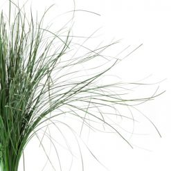 materialy wypelnienia Bear Grass 2