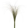 materialy wypelnienia Gynerium