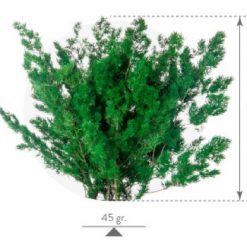 materialy wypelnienia Ming Fern3