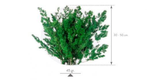 materialy wypelnienia Ming Fern3