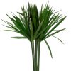 materialy wypelnienia Papyrus