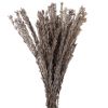 materialy wypelnienia Pubescens
