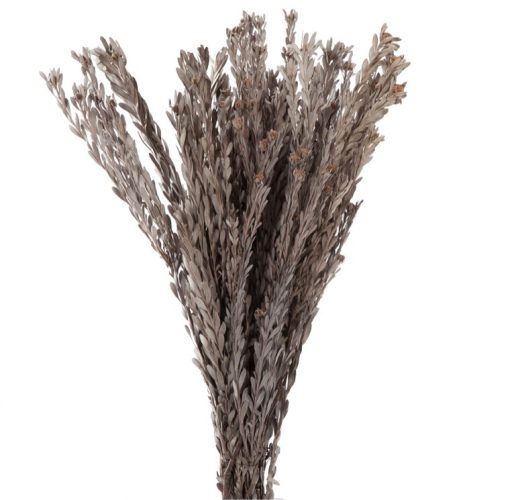 materialy wypelnienia Pubescens
