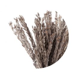 materialy wypelnienia Pubescens2