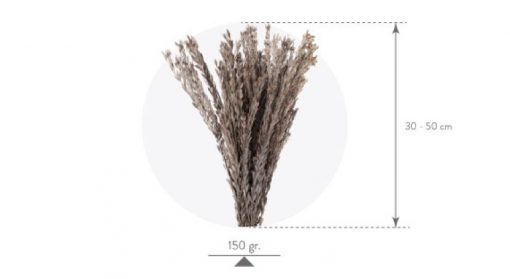 materialy wypelnienia Pubescens3