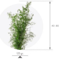 materialy wypelnienia Sprengeri3