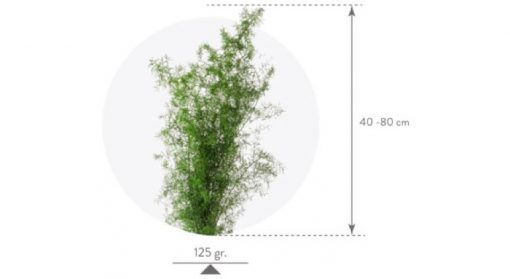 materialy wypelnienia Sprengeri3