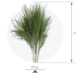 materialy wypelnienia Tiki Fern3