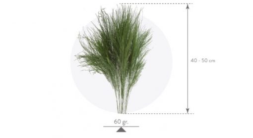 materialy wypelnienia Tiki Fern3