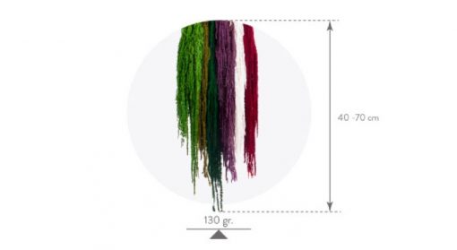 materialy zielone amaranthus 3