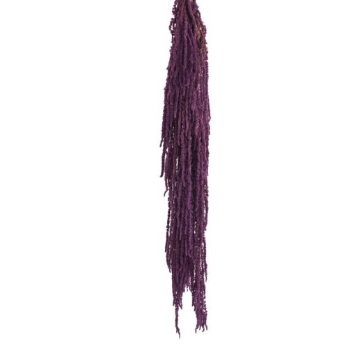 materialy zielone amaranthus
