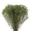 materialy zielone broom