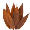 materialy zielone liscie tropical