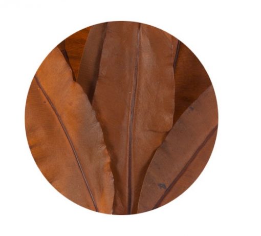 materialy zielone liscie tropical 2
