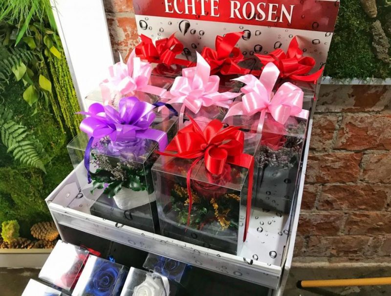 mini flower box nowy