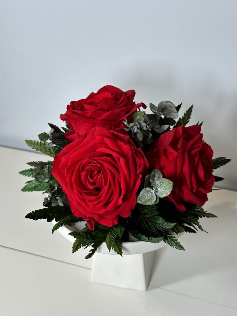 المدونة 1 A69DD257 F175 4BBB 9A0A 951F28D70D20