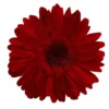 Gerbera Red